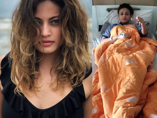 Sneha Ullal Birthday