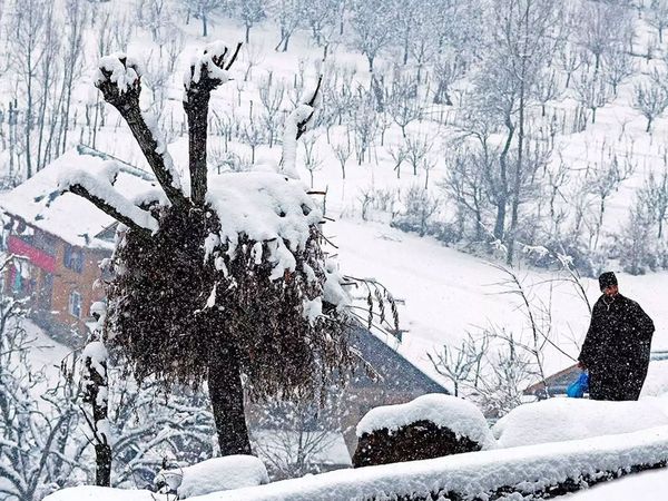 Snow fall as havoc in Himachal 