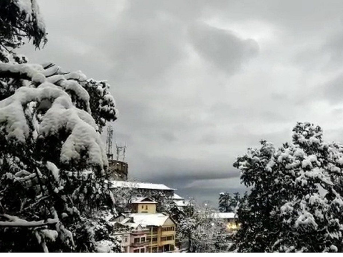 Snowfall: शिमला से लेकर कश्मीर, बद्रीनाथ तक हर तरफ बिछी बर्फ की सफेद चादर, तस्वीरों/वीडियो में देखिये अद्भुत नजारा