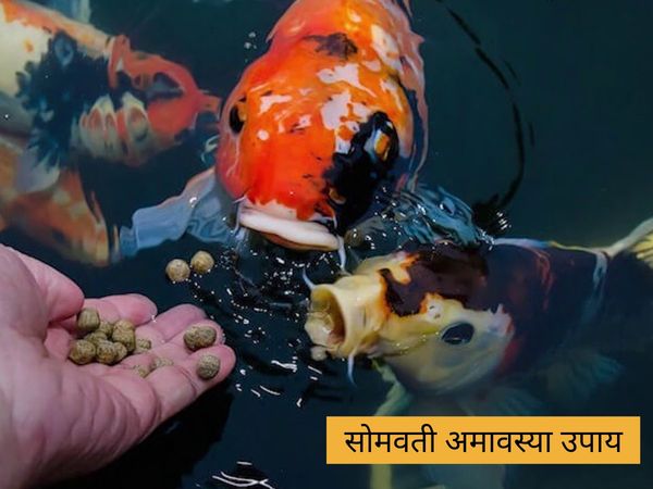Somvati Amavasya tricks, सोमवती अमावस्या उपाय