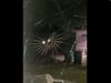 spider weaves web like machine watch shocking video goes viral on social media