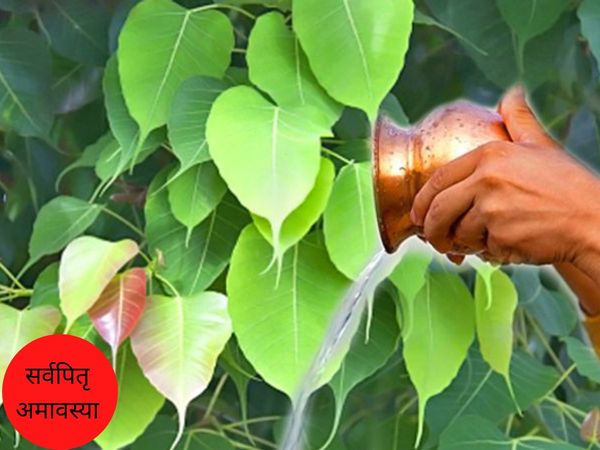 Sarvapitr Amavasya, सर्वपितृ अमावस्या