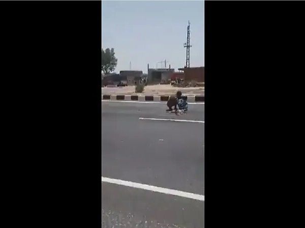 starved man ate dead dog:वो इतना भूखा था कि मरे हुए कुत्ते को बना लिया अपना निवाला