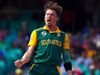 dale steyn