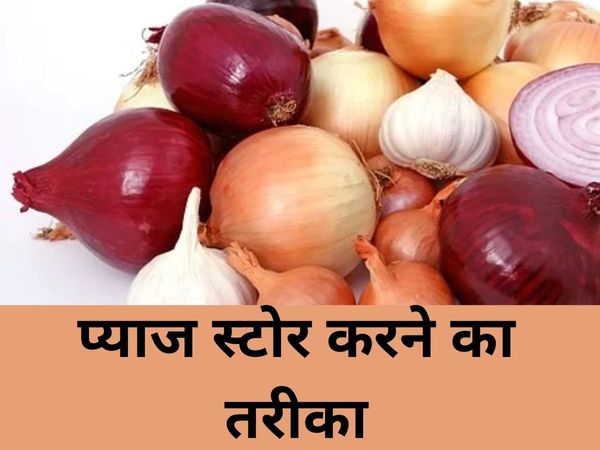 storage of onions