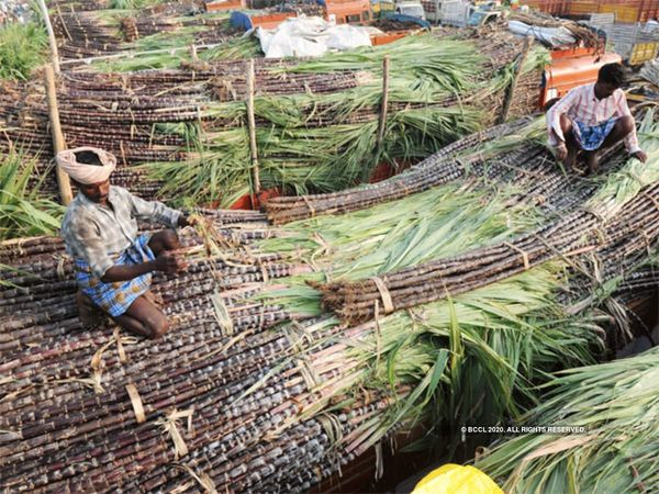Decision to provide relief to farmers, Union Cabinet approves increase in sugarcane price, VIDEO