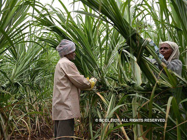 PM-KISAN scheme: know who farmers can avail benefits, who does not