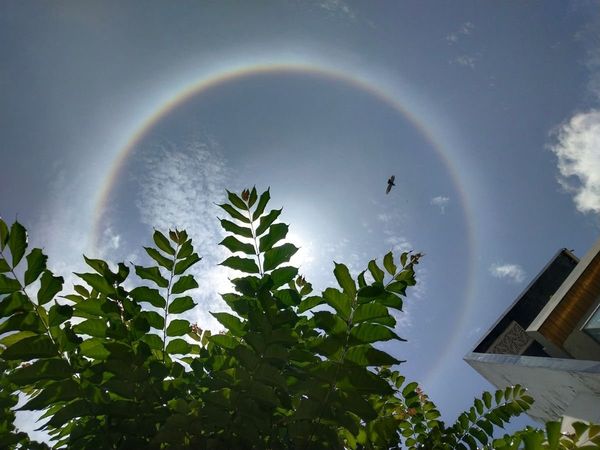 sun halo, dehradun, uttrakhand