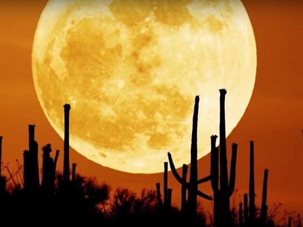 सुपरमून 2020