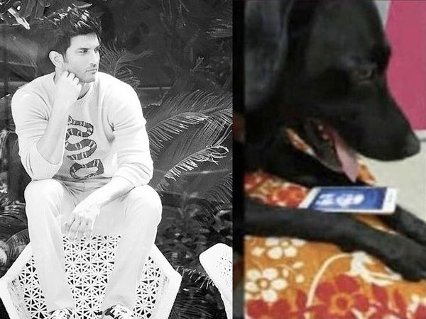 Sushant Singh Rajput and his pet Fudge