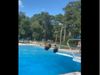 Funny Viral Video Woman jumps in swimming pool then what happened watch funny video