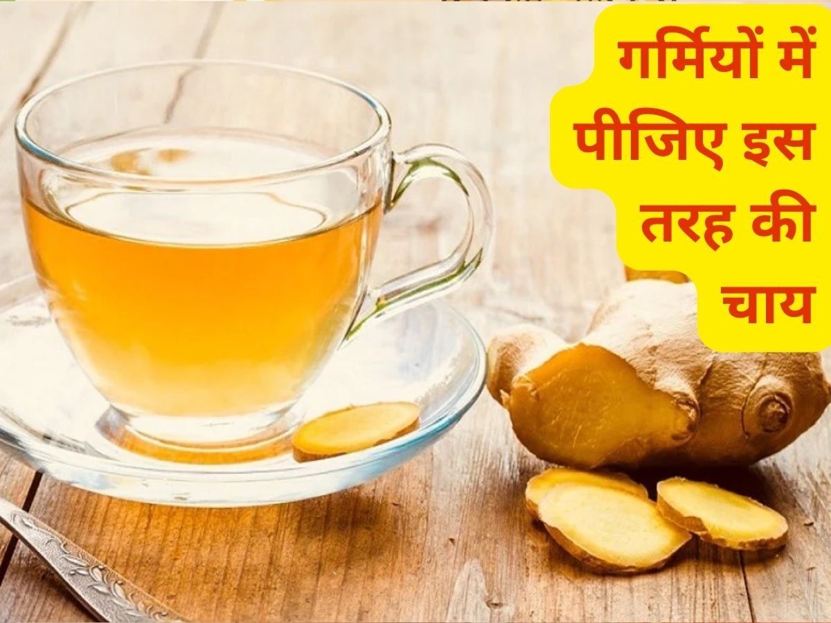 Types Of Tea In Summer: गर्मियों में इस तरह बनाकर पीजिए चाय, नकसीर से मिलेगा छुटकारा और बॉडी रहेगी फिट
