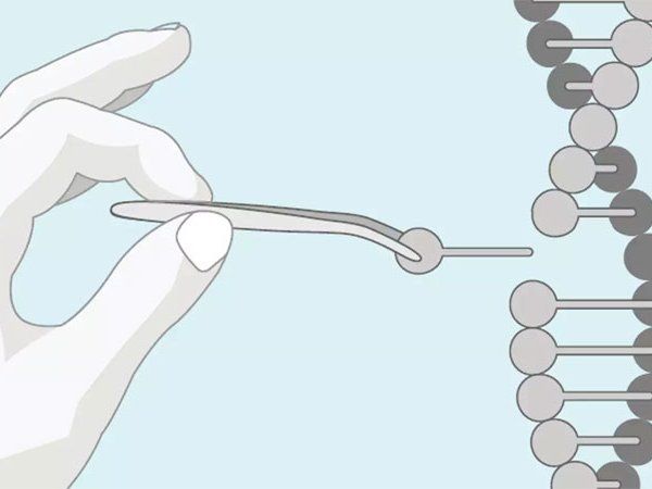 6 August history On this day in 1986 First test tube baby born in India