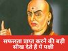 Chanakya Niti 