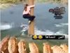 Girl trapped between tigers and crocodiles Funny Viral Video in Hindi