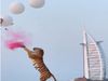 couple uses tiger for gender reveal party in Dubai viral video in hindi