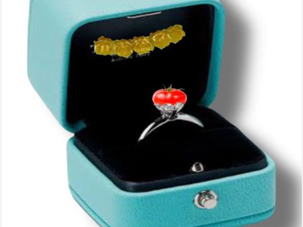 Tomato Price Today in India, Tomato Price Hike memes social media flooded  funny memes