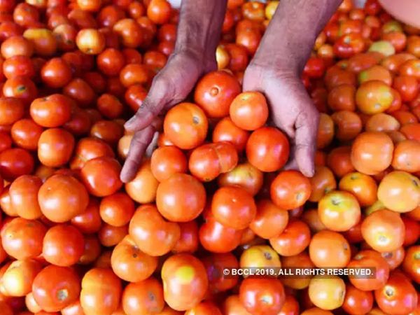 Food Prices in Pakistan: पाकिस्‍तान में टमाटर 300 रुपये के पार, इमरान खान के मंत्री ने भारत पर फोड़ा ठीकरा