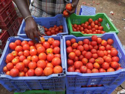 In last 2 weeks, tomato prices increased by 279%, green vegetables, potatoes, onions also costly