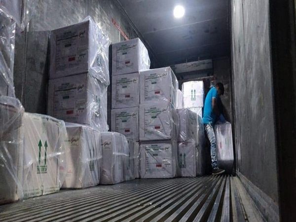 Illegal Transport Company: 