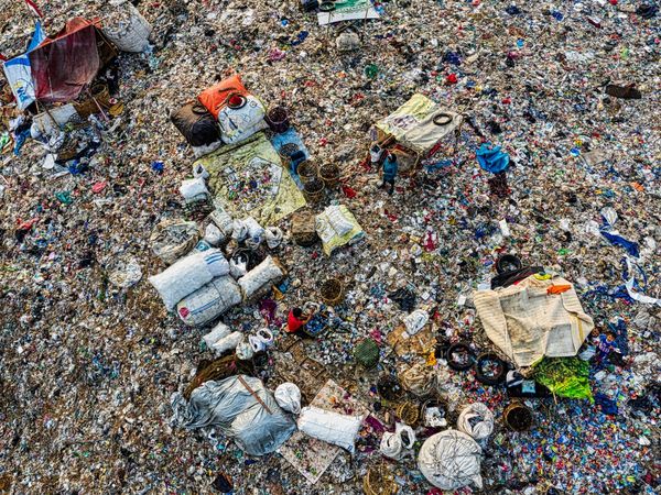 Chandigarh Garbage Collection