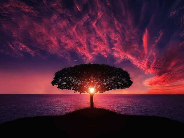 पर्यावरण दिवस : अटूट हैं इंसान और प्रकृति के संबंध