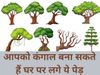 Vastu Tips For Trees