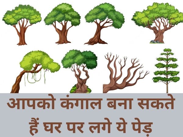 Vastu Tips For Trees