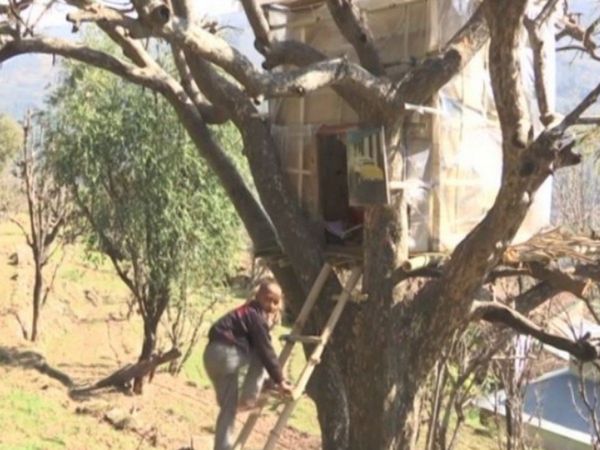 Students build tree house For internet connectivity problems in Udhampur Watch Video