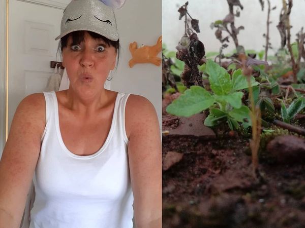 get rid from prickly heat