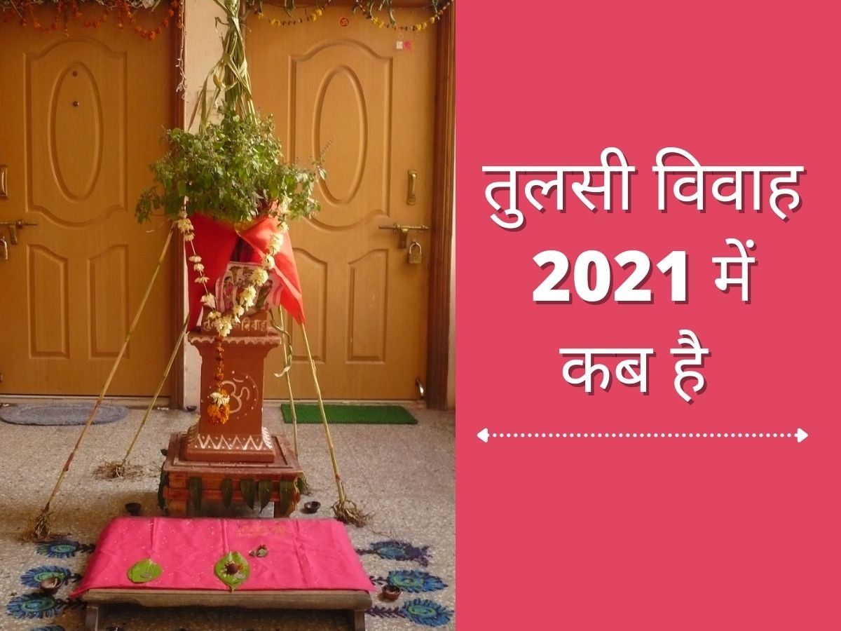 Tulsi Vivah 2021 Date and Puja Time, Tulsi Vivah 2021 Mein Kab Hai ...