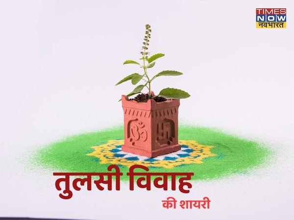   Tulsi Vivah, Tulsi Vivah 2021, happy Tulsi Vivah, happy Tulsi Vivah, Tulsi Vivah shayari in hindi, Tulsi Vivah wishes shayari in hindi, happy Tulsi Vivah shayari in hindi, happy Tulsi Vivah shayari in hindi, happy Tulsi Vivah wishes shayari in hindi, Tu