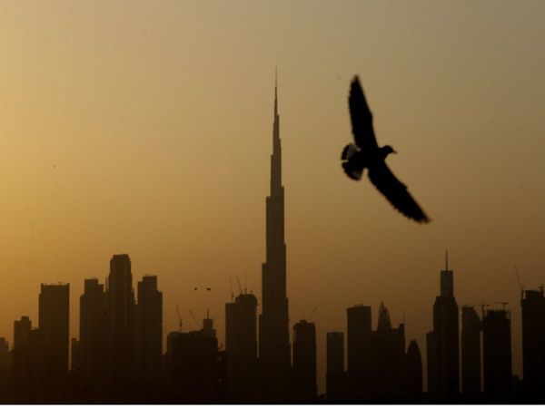 पेशेवर विदेशी नागरिकों को नागरिकता देगा UAE, परिवार के सदस्‍य भी दे सकेंगे आवेदन