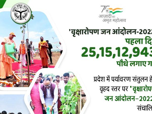 up plantation record