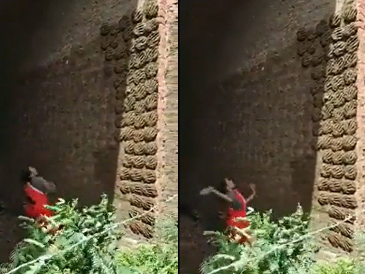 गोबर से उपले बनाने का टैलेंट देखकर हैरान रह गए IAS अधिकारी, आप भी देखें Video