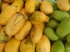 varieties of mango
