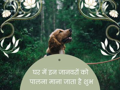 Vastu tips Vastu tips