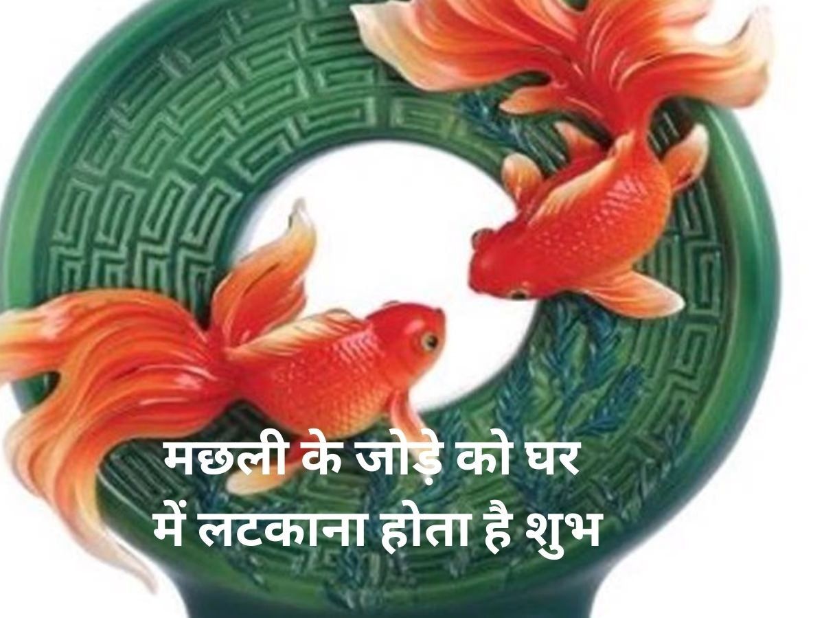 Vastu Tips Vastu tips for keeping fish in house auspicious to hang a