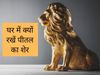 Vastu Tips for Confidence, Vastu Tips for Confidence in hindi, Vastu Tips for increase Confidence, Vastu Tips to Boost Self Confidence, How To Increase Confidence Through Vastu in hindi