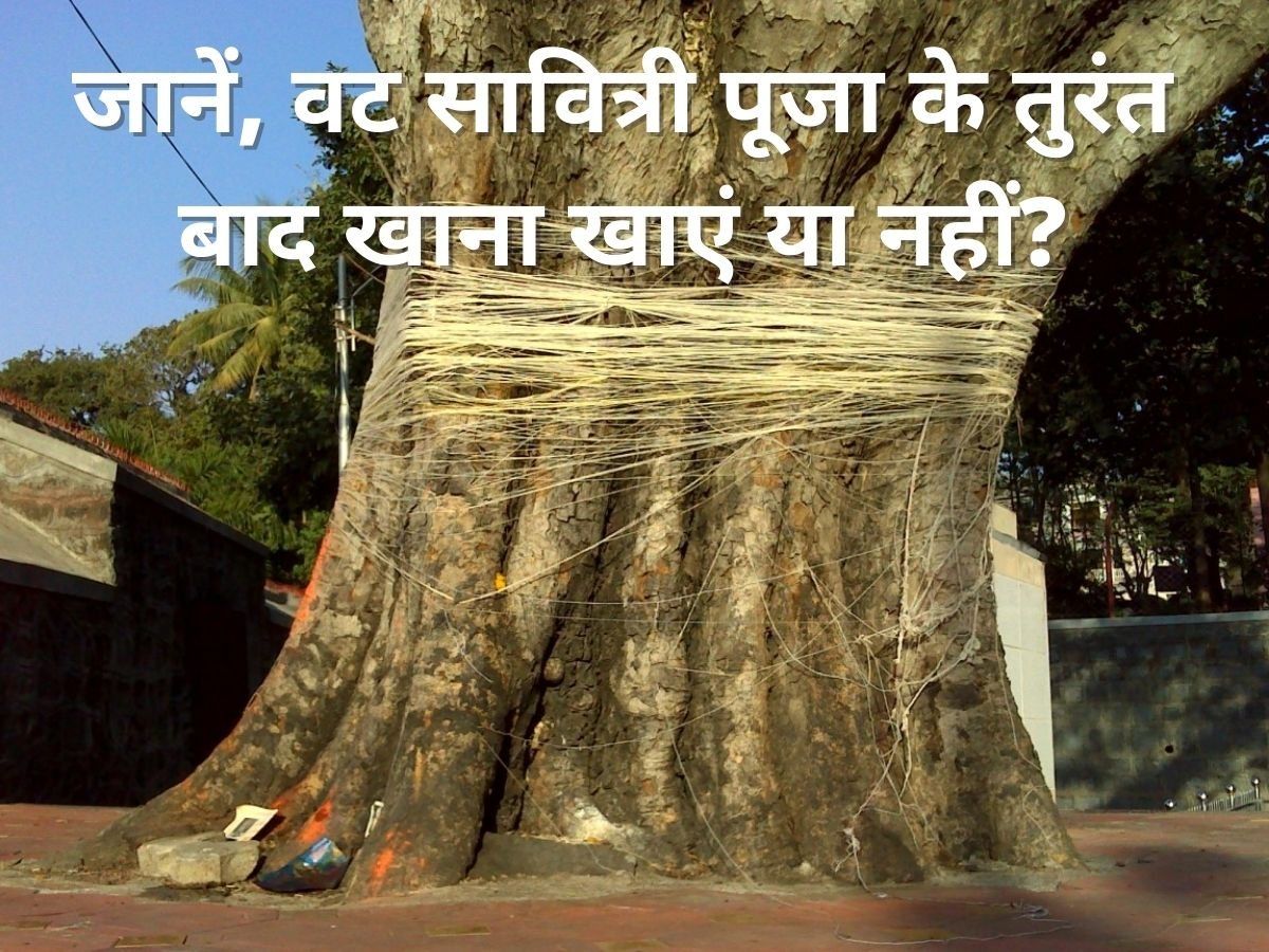 Vat Savitri Vrat 2022: क्या वट सावित्री में होता है निर्जला उपवास या खा सकते हैं भोजन, जानें पूरी डिटेल्स