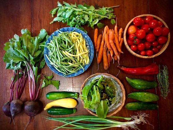 Monsoon healthy diet