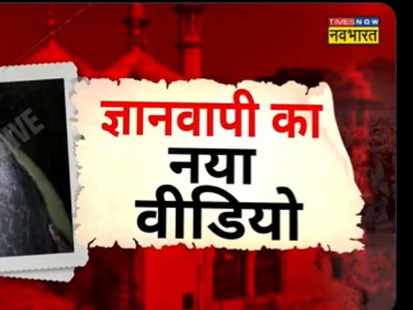 Gyanvapi Maosque new video shows temple remains inside wazookhana's basement 