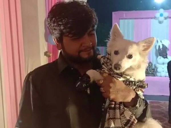 कुत्ते की जन्‍मदिन पार्टी पर खर्च कर डाले 7 लाख रुपये, अब पुलिस ने तीन लोगों को किया ग‍िरफ्तार