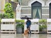 Dog Viral Pic Man sharing umbrella with dog amid rain photo goes viral