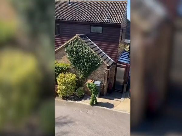 Man in bizarre disguis