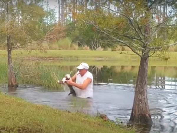 गजब! पेट डॉग को बचाने मगरमच्‍छ से भिड़ गया शख्‍स, वायरल हुआ वीडियो