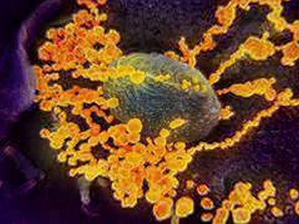 Scientists say it is very difficult to trace source of any pandemic like Covid-19