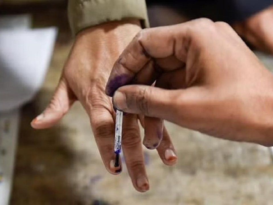 UP Gola Gokarannath By Election Result 2022:चुनाव आयोग (EC) की वेबसाइट पर ऐसे चेक करें गोला गोकर्णनाथ का नतीजा