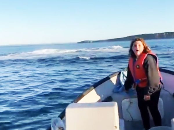 Girl reacts by seeing stunts of humpback whale at sea see video