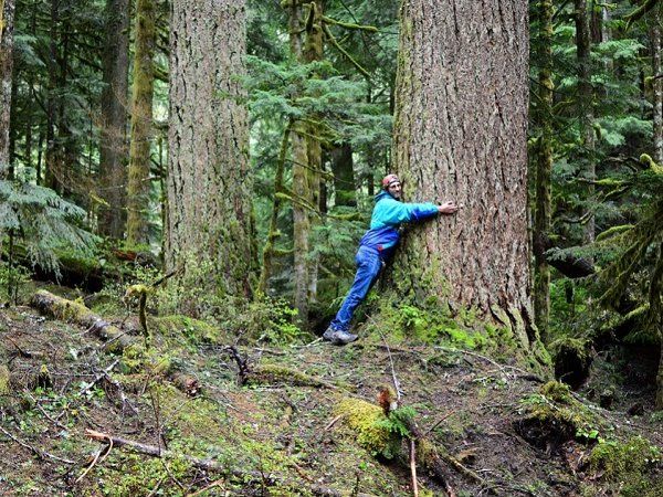 what is chipko movement